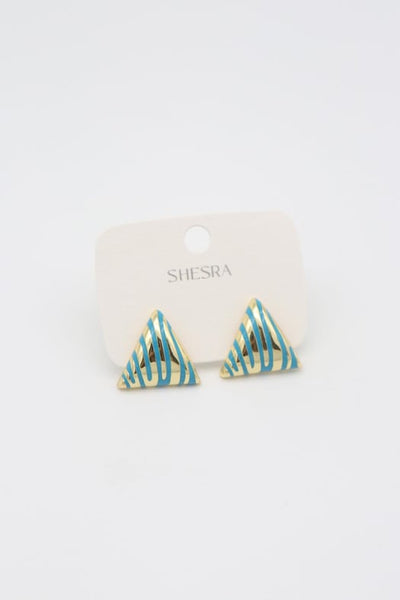Steel Earrings 14 K-10555