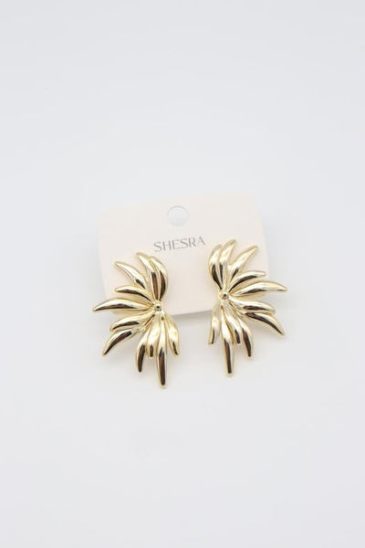 Steel Earrings 14 K-10957